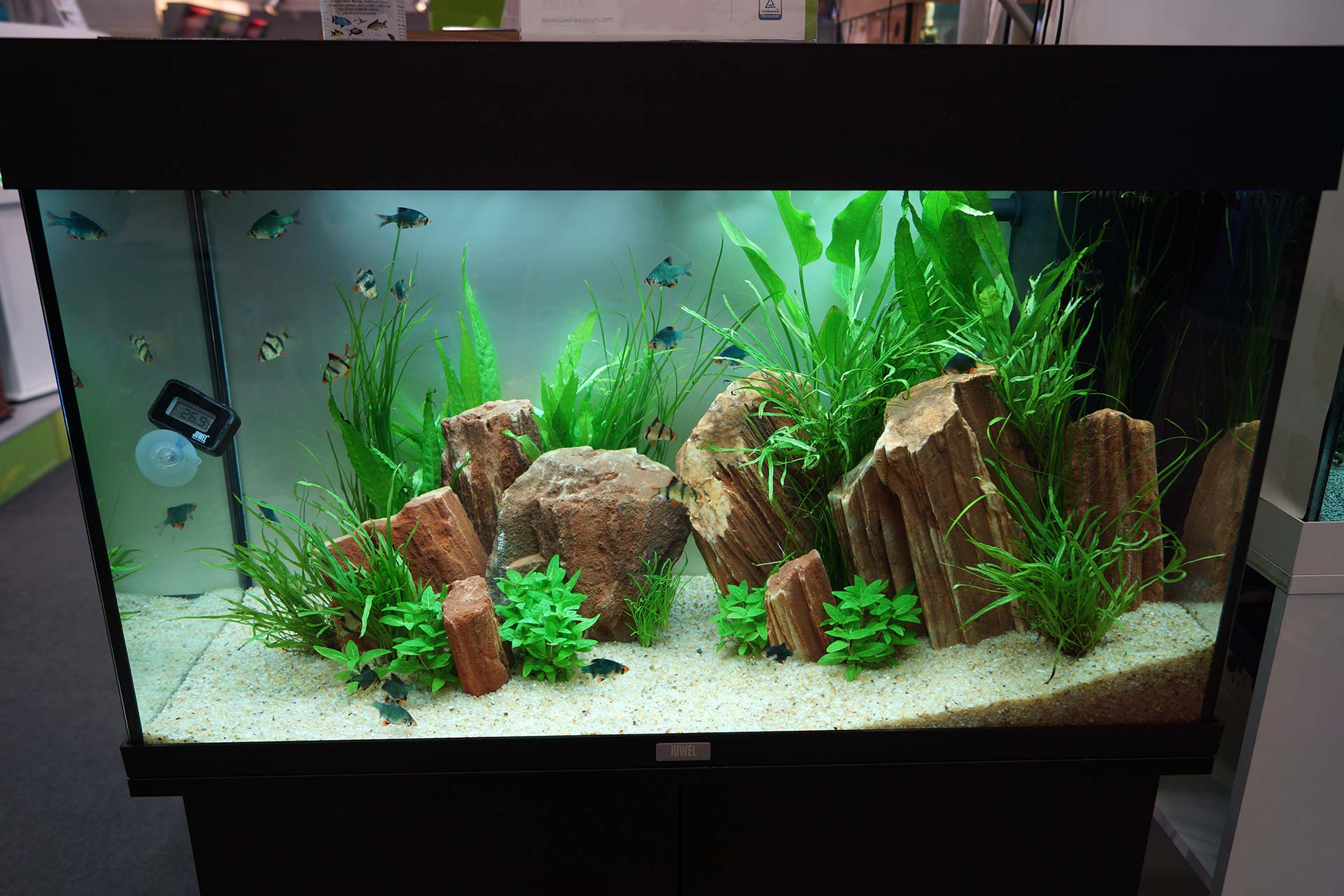 stuttgarters Wohnzimmerriff