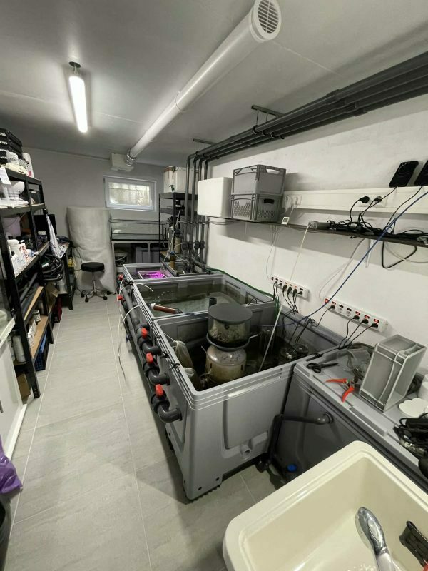 Mein Aquarium - Korallen & Meer